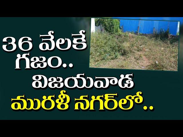 36 వేల రూపాయలకే గజం..విజయవాడ, మురళీ నగర్ లో | Sai Krishna Properties and Constructions