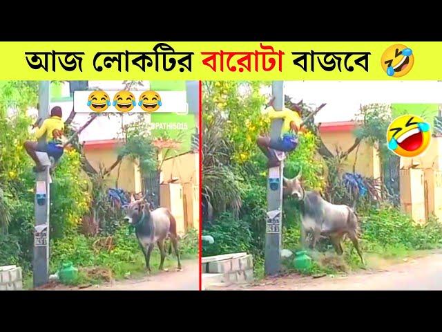 পশুদের মজার কর্মকান্ড   | Animals Funny Video Bangla 2024 | Part-14 |  Mayajaal | Bangla Rides