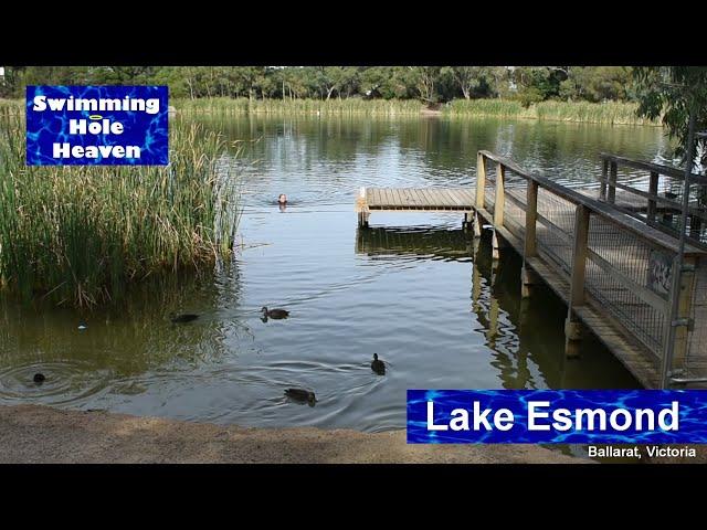 Swimming in Lake Esmond in Ballarat