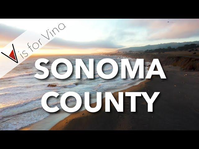 The History of Sonoma County Wine Country & the California State Flag - V is for Vino Wine Show