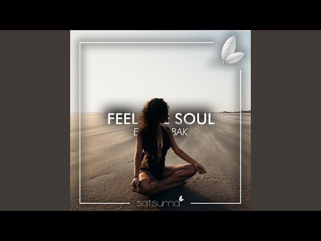 Feel The Soul