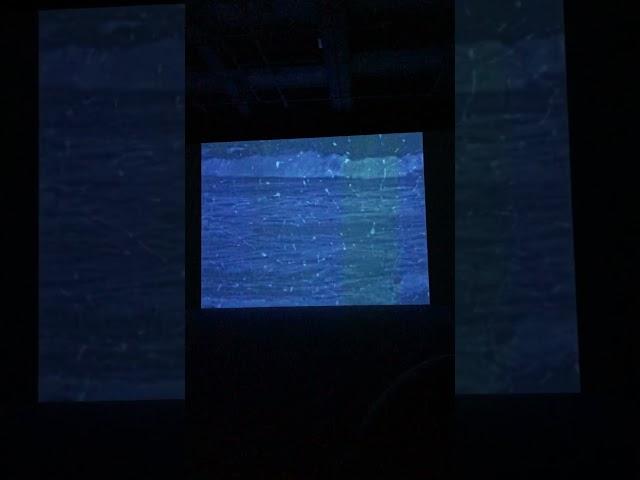 Infinity According to Florian, Ukrainian documentary. At TFAM in Taiwan. January 2024