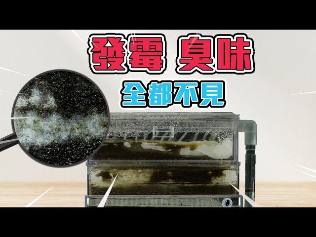 你的外掛很髒嗎?  DIY改水路讓過濾效果增加3倍！ COOL TIPS keep aquarium filter cleaning