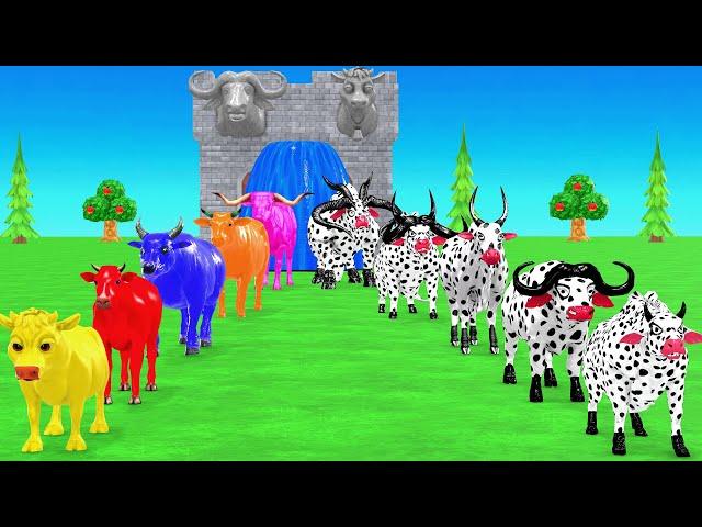 Paint Animals Cow Cartoon,Bull,Buffalo,Ox, Bison,Bullocks Fountain Crossing Animal Transformation