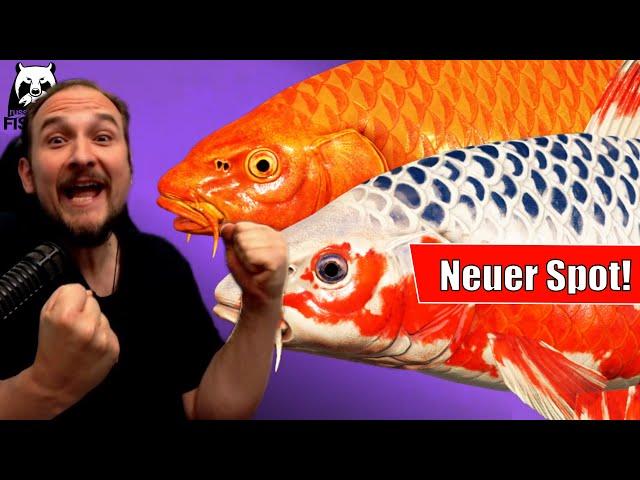 Russian Fishing 4 - Kupfersee - Neuer Koi Spot! Neues Aroma