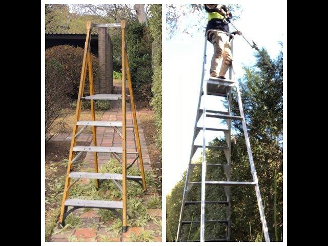 Platform ladders for hedge trimming