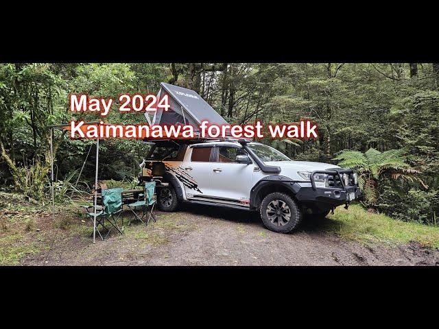 May 2024 Walk in the Kaimanawa Forest