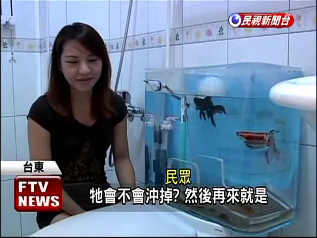 高職老師點子王  馬桶水箱養魚－民視新聞