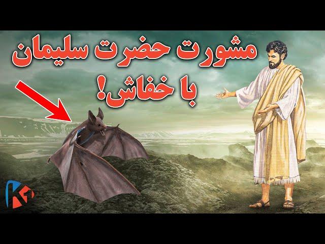 مشورت حضرت سلیمان با خفاش - KABUL ONE