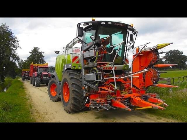 Schuttenbeld corn silage