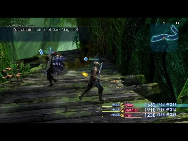 Final Fantasy XII: Stupid fire boss