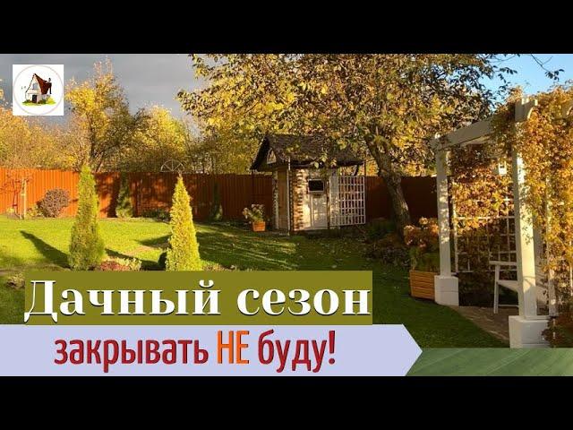 Оранжевое солнце. Ремонт отмостки. Последние пересадки.