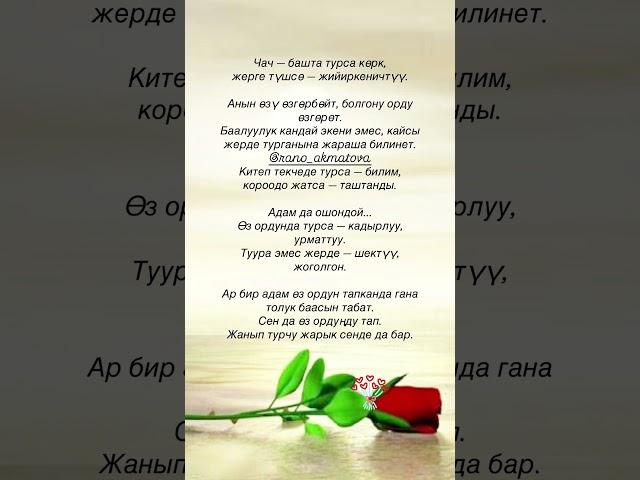 11 июня 2025 г.