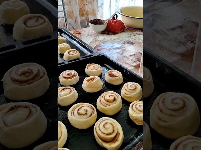 БУЛОЧКИ СИНАБОНЫДЕТИ ДОВОЛЬНЫ.