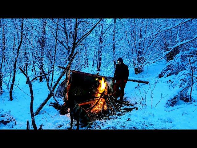 3 Days Solo Winter Camping Adventure in the Snowstorm, Bushcraft Survival Shelter, Campfire Cooking