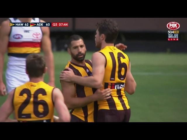 WORST UMPIRE DECISION EVER?? HAWTHORN vs ADELAIDE #FREEKICKHAWTHORN