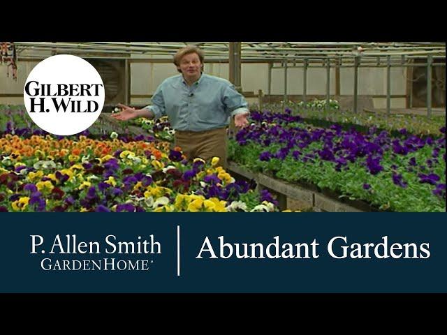 Tips & Ideas to have an Abundant Garden | Garden Home (110)