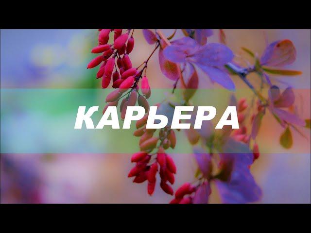 Успешная карьера / Карьерный рост. Ремейк. Скрытые аффирмации. Саблиминал.