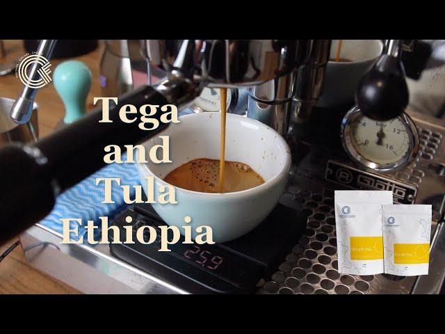 Tega and Tula - an exciting change to coffee from Ethiopia.