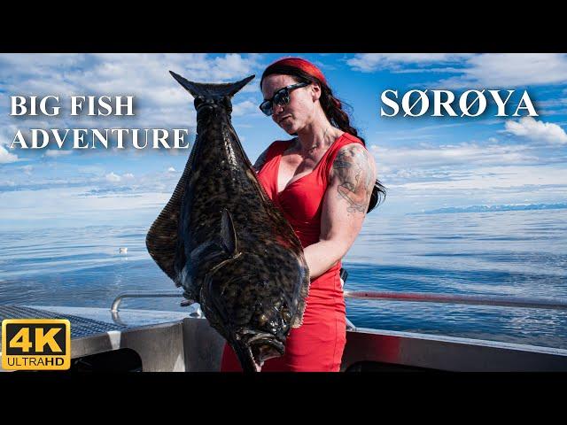 BIG FISH ADVENTURE 2020 - SØRØYA, Hasvik - NORWAY - (4K) May Liza Johansen, Kato Andre Bøe