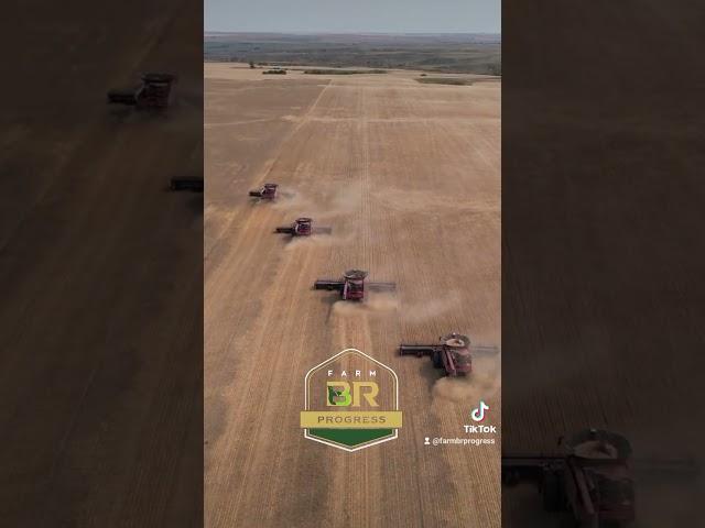 Cases IH Classe 9 em ação | #farmbrprogress #agriculture #agro #farming #caseih