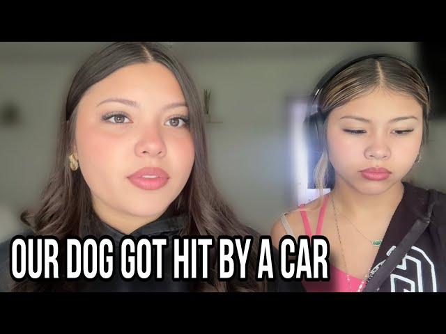 Our Dog Got Hit By A Car (STORY TIME)