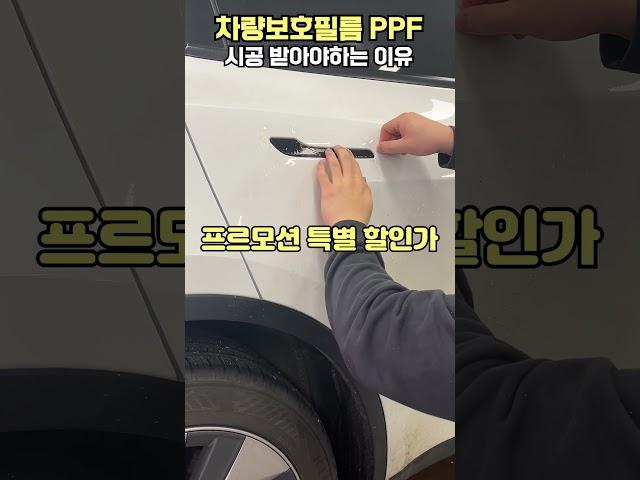 범퍼 PPF 시공을 이 가격에...