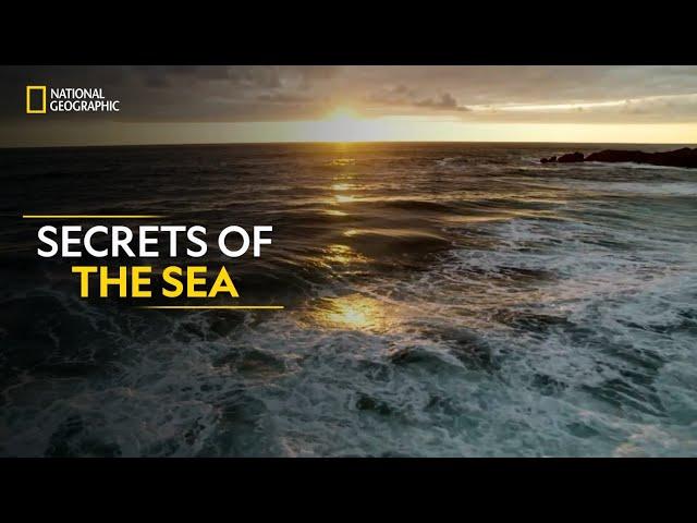 Secrets of the Sea | Hostile Planet | Full Episode S01-E02 | हिन्दी | National Geographic