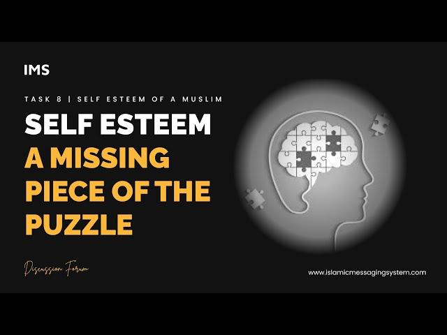 Missing Piece of the Puzzle | Self Esteem | Understanding Key Factors | IMS DF | Task 8