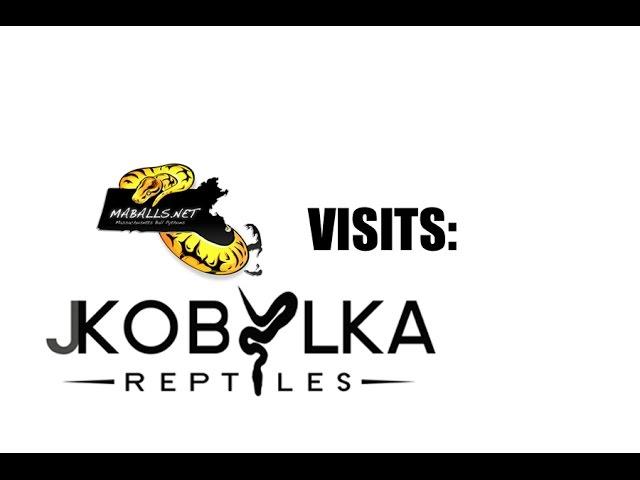 Raphy Visits: J. Kobylka Reptiles