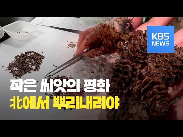 [통일로 미래로]  작은 씨앗의 평화... 북한에서 뿌리내려야 / KBS뉴스(News)