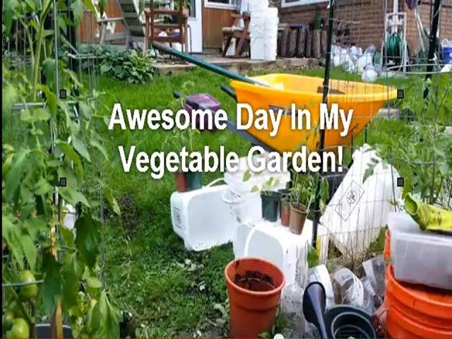 Awesome Day In My Vegetable Garden! Planted Winter Sown Seedlings