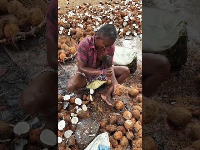 Coconut cutting #skills #factory #viral #shorts ls