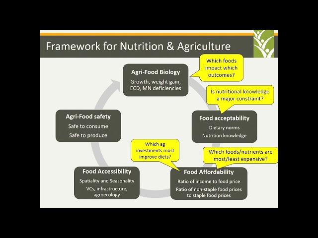 Speaker: Derek Headey, Senior Research Fellow, IFPRI