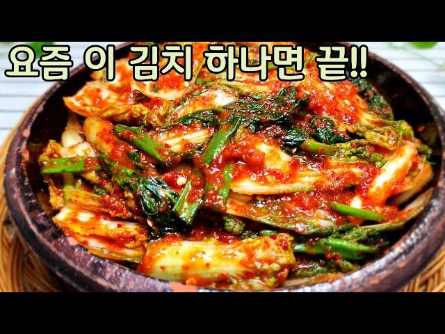 묵은지가 지겹다면 이런 김치 담아보세요 따신 밥에 이것만 있으면 다른 반찬은 찾지도 않습니다/얼갈이 자박이 김치