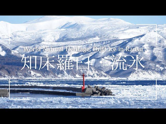 世界自然遺産　知床羅臼　流氷｜World Natural Heritage Shiretoko Rausu Drift ice