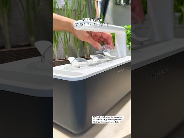 My favorite for growing herbs in the kitchen 