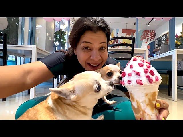 Kids ICE CREAM party at DOG CAFE | Ss vlogs :-)