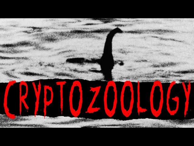 "Cryptozoology: The Wide Watery World of Sea Monsters" | CreepyPasta Storytime