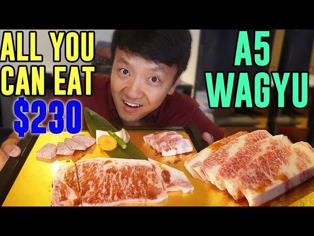 FINEST All You Can Eat WAGYU BEEF in Tokyo Japan: Matsusaka Beef