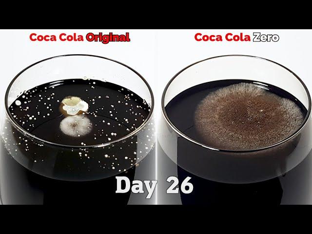 Coke VS Coke Zero - Time lapse [4K] (TOP REQUEST)