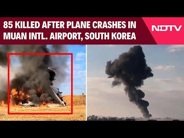 South Korea Plane Crash | Plane With 181 People Veers Off Runway, Crashes In South Korea, 85 Dead