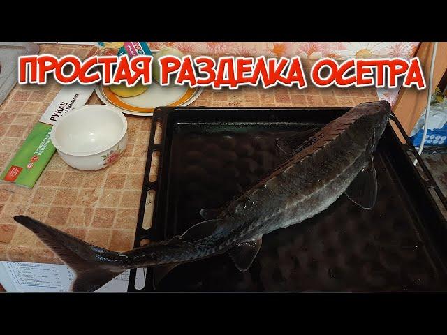 Как быстро почистить осетра без заморочек? Что важно знать!