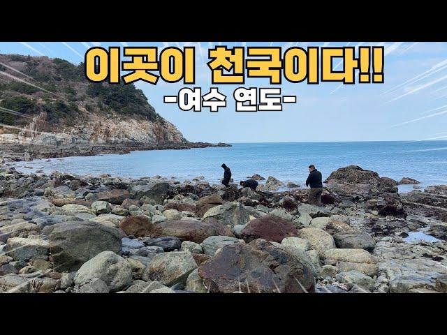 여수 여기가 천국이다! 자연산 먹거리 널렸다!![마초세끼 ep.3-1]