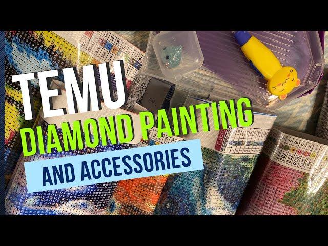 Temu Diamond Painting and Accessories! @temushop #temu