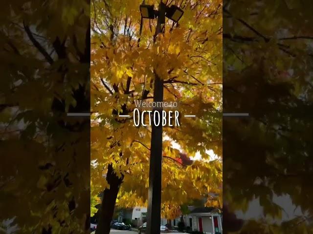 #october #boston #massachusetts #newengland #fallfoliage