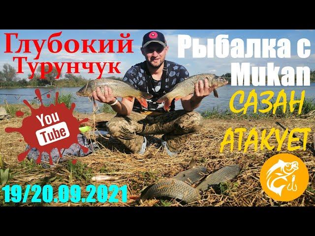 Сазан атакует!  | Глубокий Турунчук  | Рыбалка с Mukan ‍ | Набомбили диких сазанов 