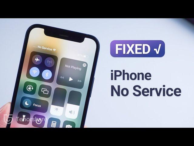 Top 6 Solutions to Fix No Service on iPhone 2024 [TESTED]