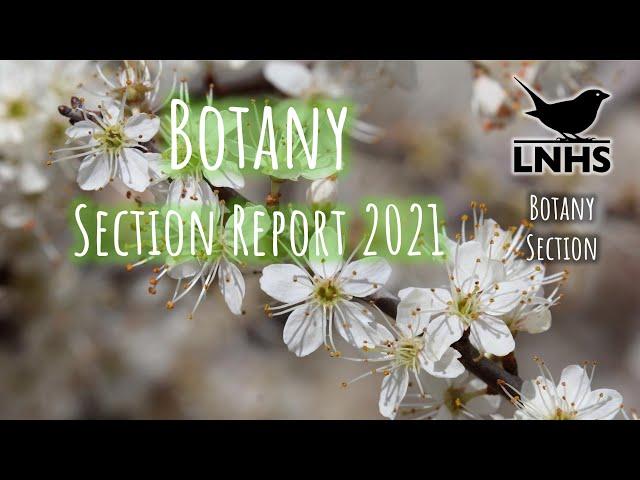 Botany Section AGM Reports 2021