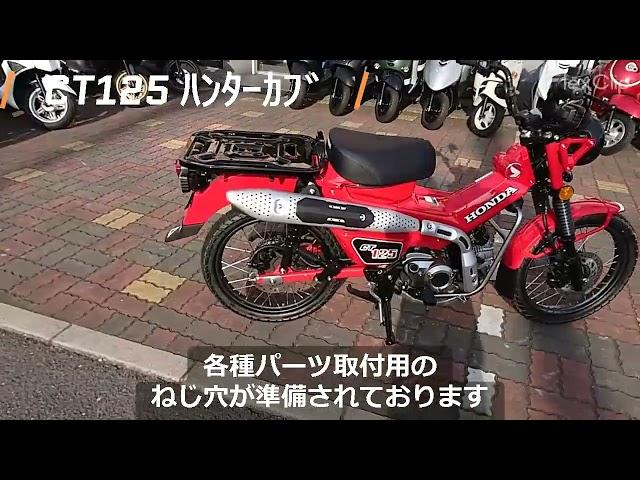 CT125 ハンターカブ 2023年 新車 只今即納可能です! バイクショップ名:有限会社 タイタンネット